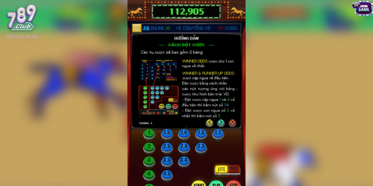 Cách Đặt Cược trong Đua Ngựa tại 789Club